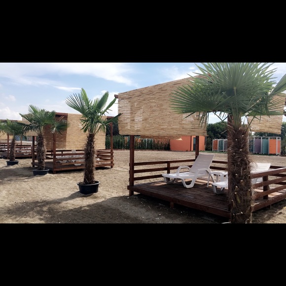 Meet your Posher, Thalia - Picture 1 of 1